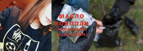 гашик Гусев