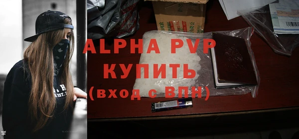 гашик Гусев