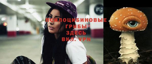 кокаин Гусиноозёрск