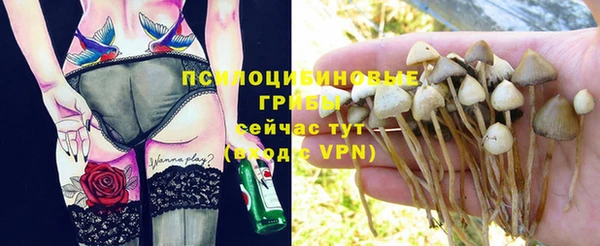 гашик Гусев