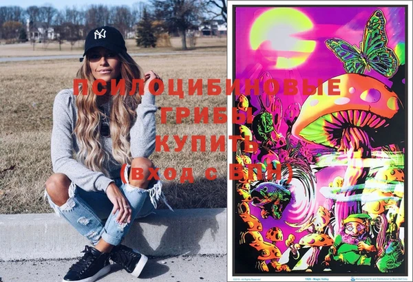 гашик Гусев