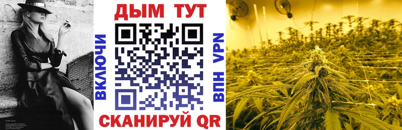 Конопля индика  Купить  Краснознаменск 